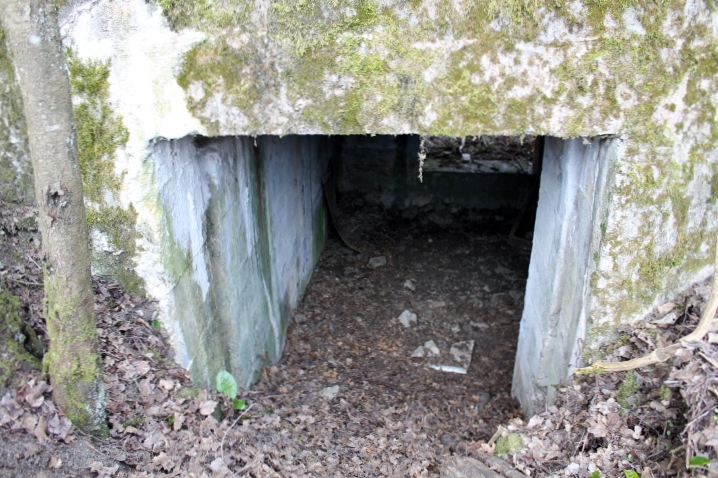 Ligne Maginot - FUERST 1 - (Blockhaus pour canon) - L'entrée du canon - Christian LENHARD