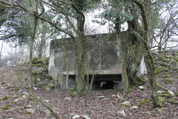 Ligne Maginot - FUERST 4 - (Blockhaus pour canon) - Vue générale - Christian LENHARD