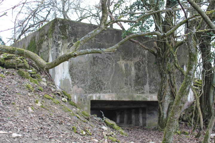 Ligne Maginot - FUERST 4 - (Blockhaus pour canon) - Façade de tir - Christian LENHARD