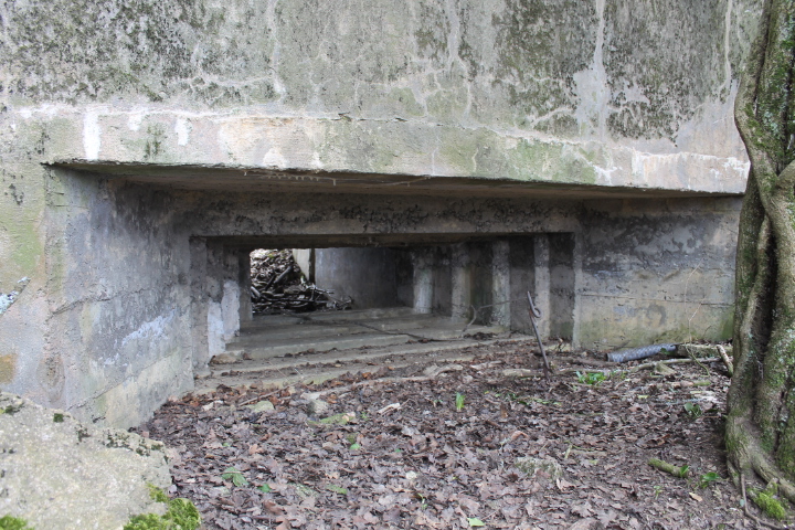 Ligne Maginot - FUERST 4 - (Blockhaus pour canon) - Créneau du canon - Christian LENHARD