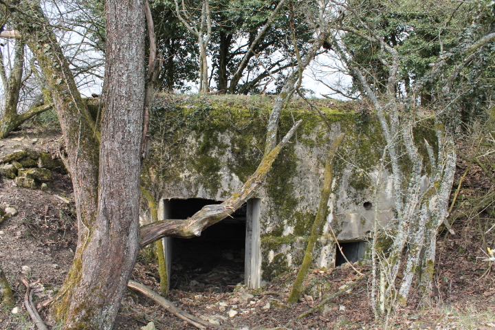 Ligne Maginot - FUERST 4 - (Blockhaus pour canon) - Les entrées - Christian LENHARD