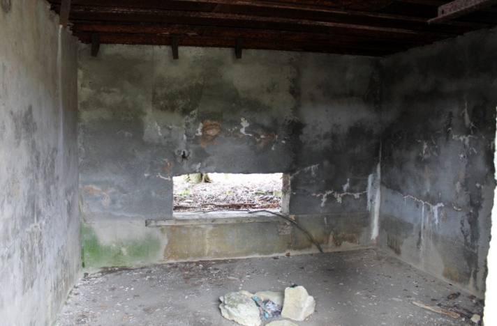 Ligne Maginot - FUERST 4 - (Blockhaus pour canon) - Le créneau - Christian LENHARD