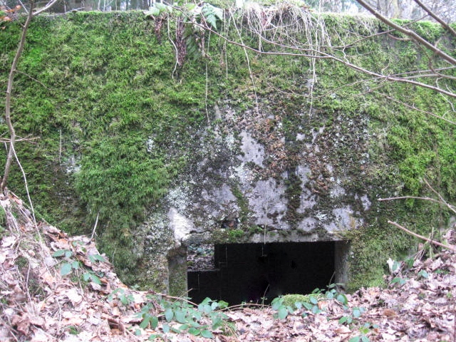 Ligne Maginot - SCHWANGERBACH 1 - (Blockhaus pour canon) -  - Christian LENHARD