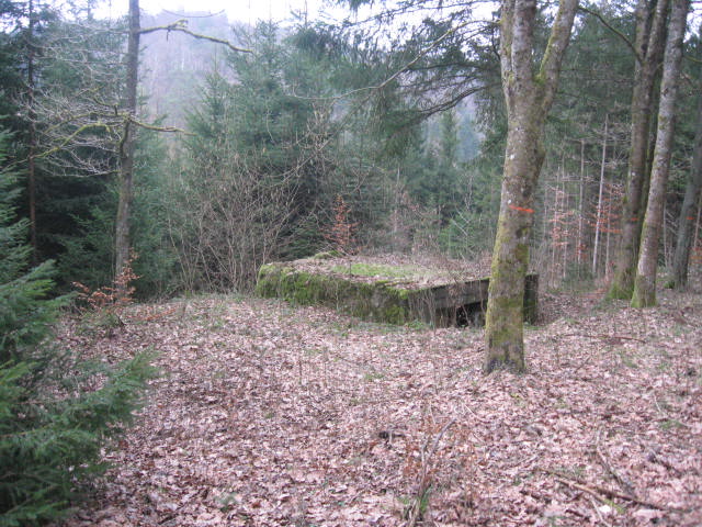 Ligne Maginot - SCHWANGERBACH 1 - (Blockhaus pour canon) -  - Christian LENHARD