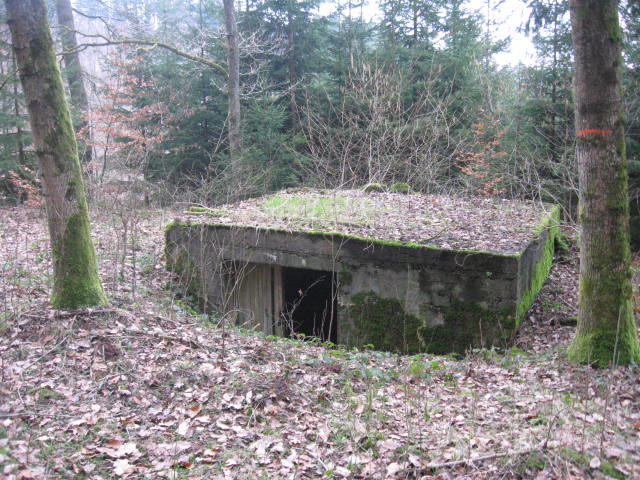Ligne Maginot - SCHWANGERBACH 1 - (Blockhaus pour canon) -  - Christian LENHARD