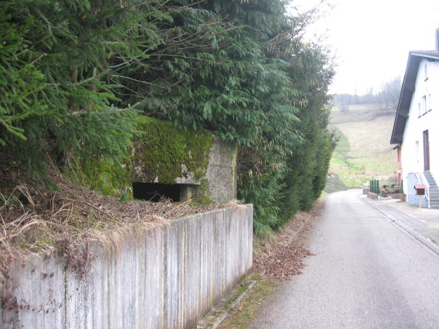 Ligne Maginot - SCHWANGERBACH 6 - (Blockhaus pour canon) - Vue générale - Christian LENHARD