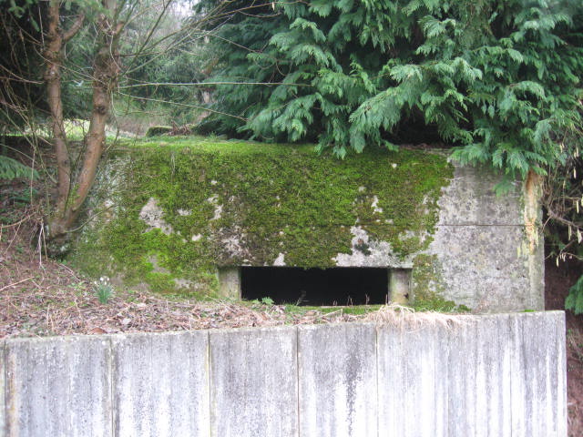 Ligne Maginot - SCHWANGERBACH 6 - (Blockhaus pour canon) - Façade de tir - Christian LENHARD