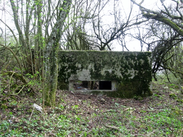 Ligne Maginot - STEINER DEL 4 - (Blockhaus pour canon) - Vue générale - Christian LENHARD