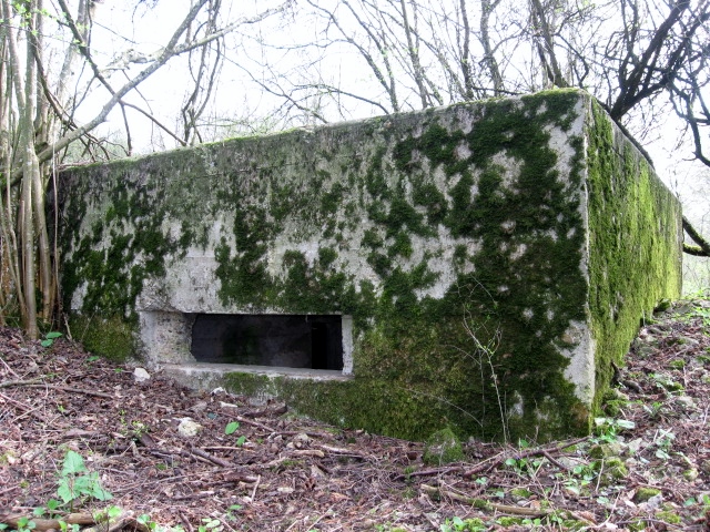 Ligne Maginot - STEINER DEL 4 - (Blockhaus pour canon) - Façade de tir - Christian LENHARD