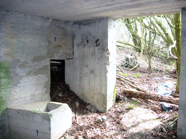 Ligne Maginot - STEINER DEL 4 - (Blockhaus pour canon) - Les entrées - Christian LENHARD