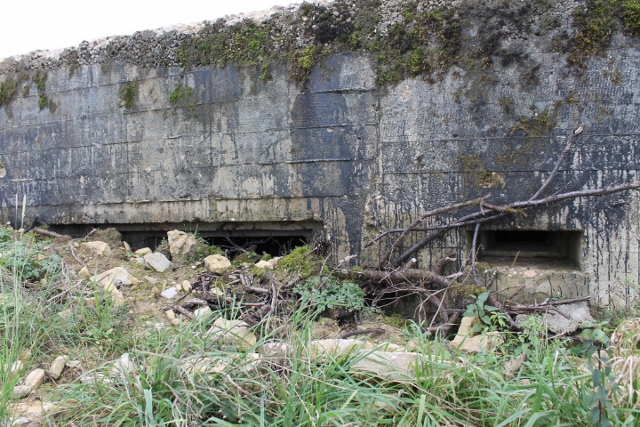 Ligne Maginot - SCHITTEFELD 5 - (Blockhaus pour canon) - Les créneaux - Christian LENHARD