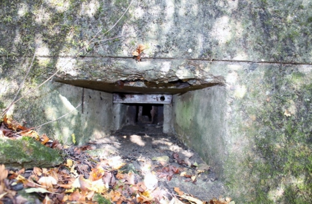 Ligne Maginot - SCHITTEFELD 2 - (Blockhaus pour arme infanterie) - Créneau de défense rapprochée pour fusil-mitrailleur - Christian LENHARD