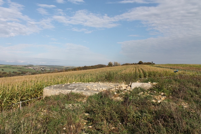 Ligne Maginot - SCHITTEFELD 6 - (Blockhaus pour arme infanterie) - Vue générale - Christian LENHARD