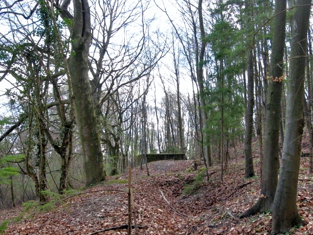Ligne Maginot - MEISTERBUSCH 3 - (Observatoire d'infanterie) -  - Christian LENHARD