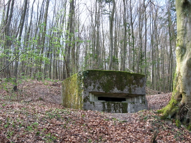 Ligne Maginot - MEISTERBUSCH 3 - (Observatoire d'infanterie) -  - Christian LENHARD