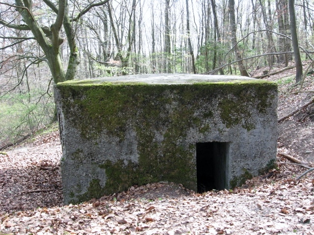 Ligne Maginot - MEISTERBUSCH 3 - (Observatoire d'infanterie) -  - Christian LENHARD