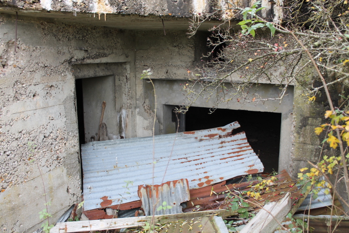 Ligne Maginot - MC30 - STG C - (Casemate d'infanterie - double) - Les entrées hommes et canons - Christian LENHARD