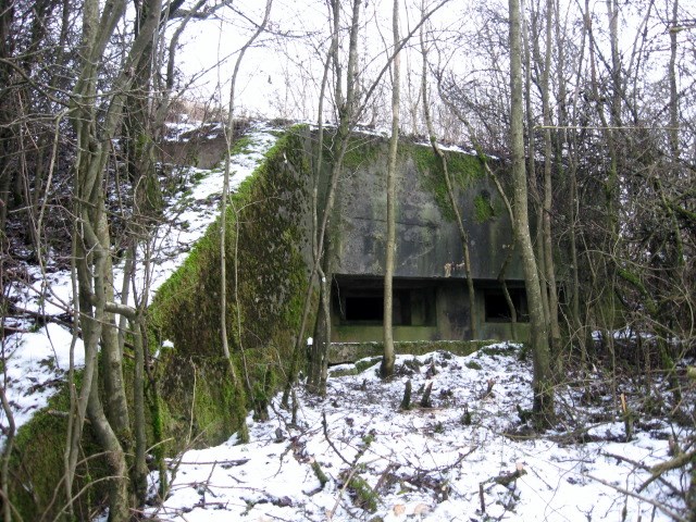 Ligne Maginot - OLFERDINGER 3 - (Blockhaus pour arme infanterie) - Façade de tir - Christian LENHARD