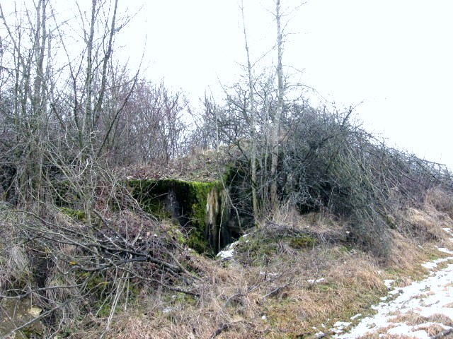 Ligne Maginot - OLFERDINGER 3 - (Blockhaus pour arme infanterie) - Façade arrière - Christian LENHARD