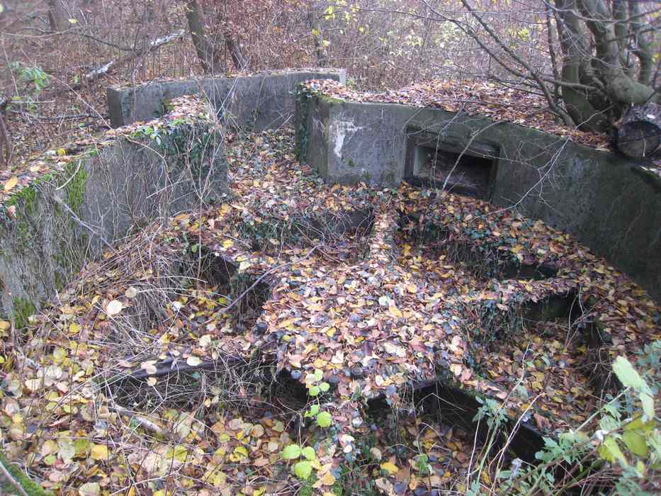 Ligne Maginot - Cuve pour piéce d'artillerie Dc 1 Bis -  - Pruzsina jérome