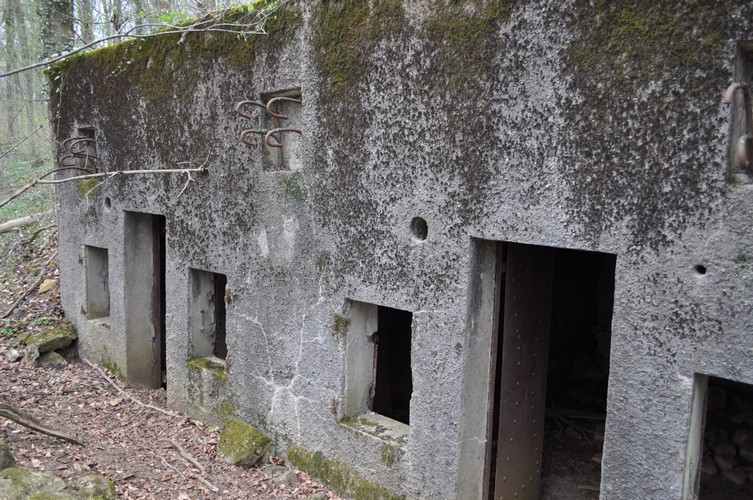 Ligne Maginot - PC du Grand Bois Ouest -  - Pruzsina Jerome
