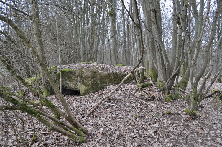 Ligne Maginot - Vue avant de construction -  - Pruzsina Jérome