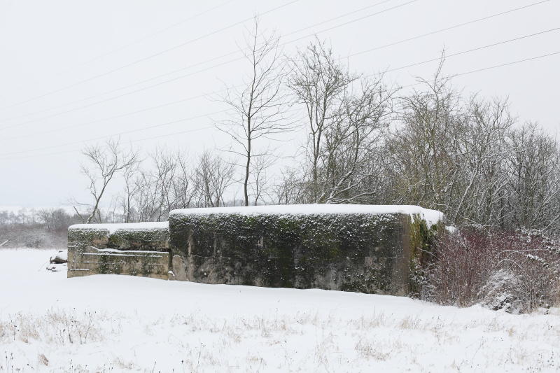 Ligne Maginot - CB32-C - UNTERRULEN - (Blockhaus pour arme infanterie) - On notera la présence d'une partie annexe accolée au blockhaus proprement dit. Il s'agit d'une disposition assez courante dans ce secteur. - www.arnaultjl-photo.com