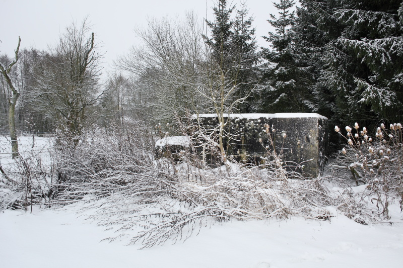 Ligne Maginot - CB286 - PESCH OUEST - (Blockhaus pour arme infanterie) - Bien que non visible sur cette photo, c'est cette façade, orientée vers le nord-est, que se trouve le créneau de tir principal.  - www.arnaultjl-photo.com