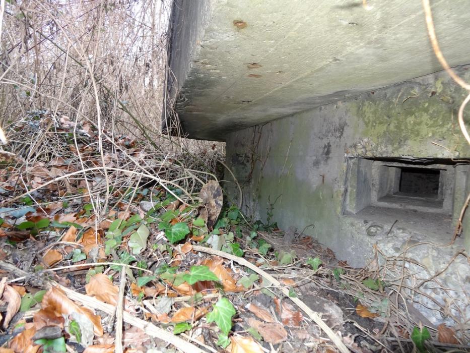 Ligne Maginot - LAMENDSAND OUEST - (Blockhaus pour arme infanterie) - Créneau Nord et visière - Lionnel SPERANDIO