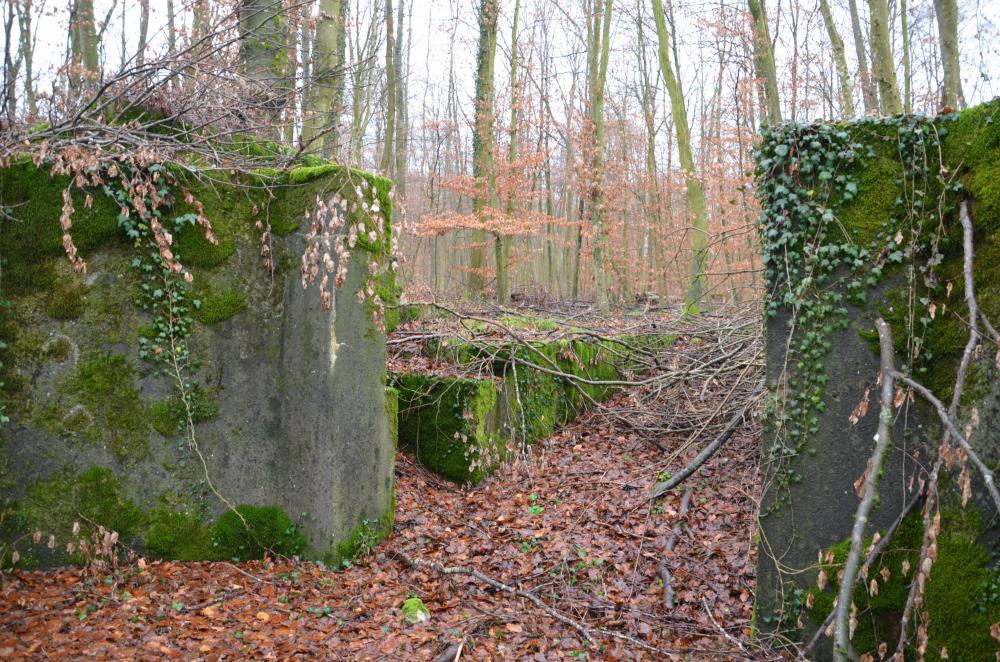 Ligne Maginot - WILLERHOF (BATTERIE DE) - (Position d'artillerie préparée) - Encuvement 3
L'entrée - D. Froehly