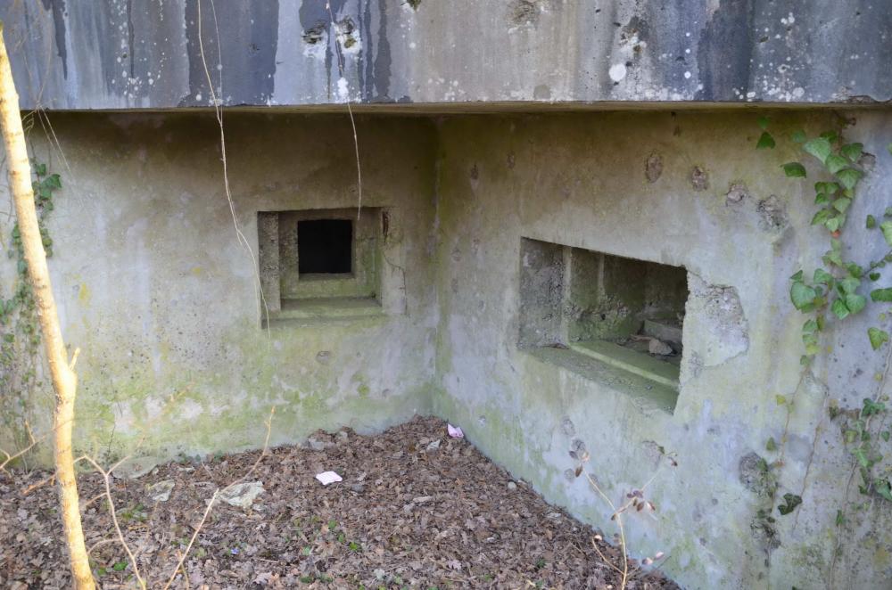 Ligne Maginot - 181 - KEMBS NORD 2 - (Blockhaus pour arme infanterie) - Vue sur les créneaux FM et mitrailleuse - D. Froehly