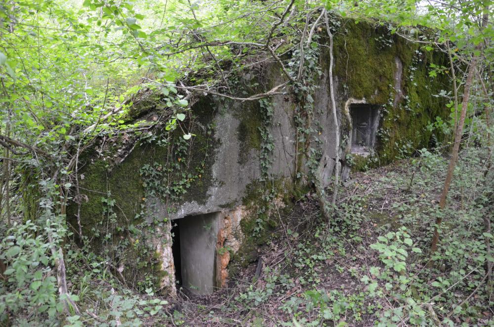 Ligne Maginot - CARREFOUR 237 - (Blockhaus pour canon) - Entrée des hommes - D. Froehly