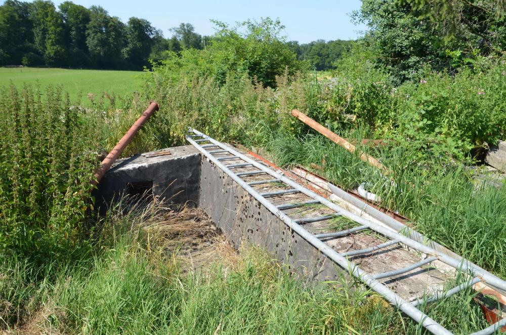 Ligne Maginot - BETTLACH NORD 2 - (Blockhaus pour canon) - Entrée du blockhaus
Escalier fermé par une trappe métallique. L'encuvement est dans une propriété privée - D. Froehly