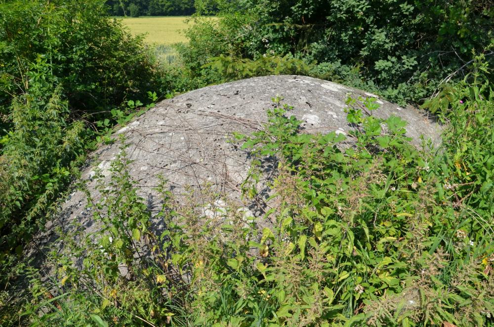 Ligne Maginot - BETTLACH NORD 2 - (Blockhaus pour canon) - L'encuvement est enfoui sous les ronces - D. Froehly