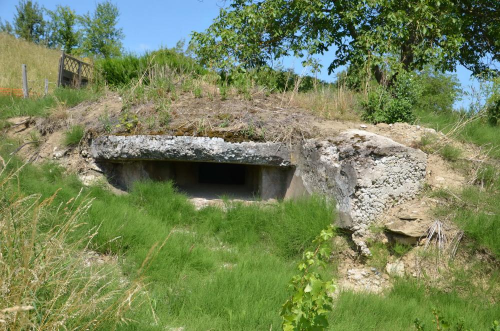 Ligne Maginot - BETTLACH OUEST 3 - (Blockhaus pour canon) - Cet encuvement est sur une propriété privée, l'accès n'est pas refusé s'il est demandé. Attention par temps de pluie l'encuvement se remplie vite d'eau et de boue - D. Froehly