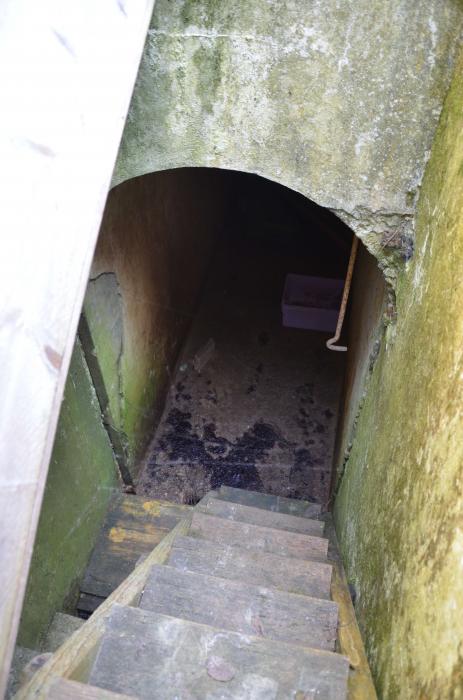 Ligne Maginot - BETTLACH OUEST 3 - (Blockhaus pour canon) -  - D. Froehly