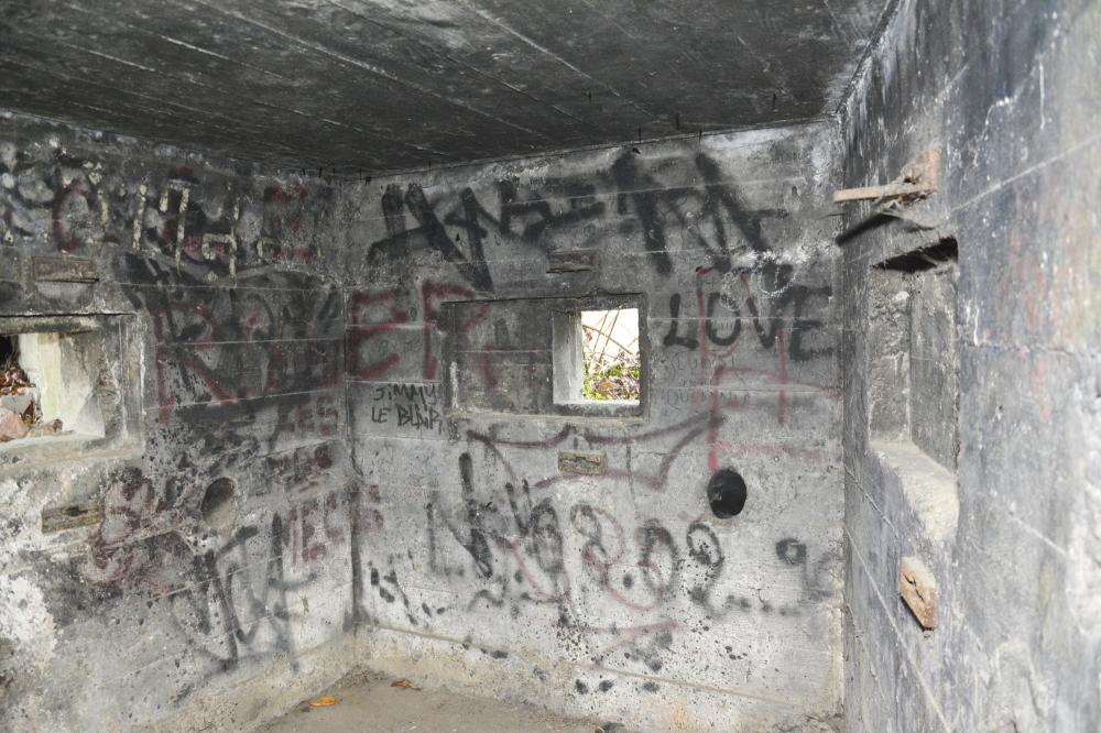 Ligne Maginot - 50 - BUSSIERE OUEST 1 - (Blockhaus pour arme infanterie) -  - LAMBERT Pascal