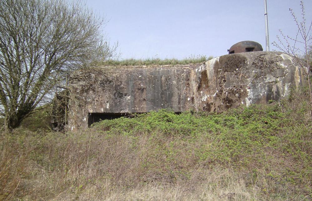 Ligne Maginot - BOIS DE HOFFEN EST - O3 - (Casemate d'infanterie - Simple) - La casemate, disparaissant sous la végétation - GLÜCKSJÄGER GJ13