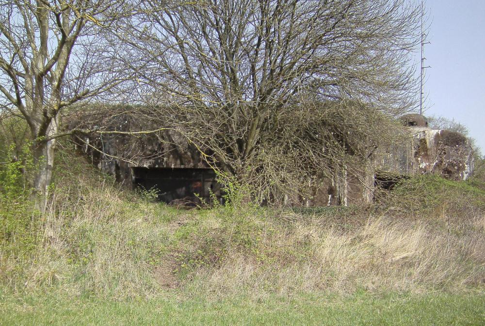 Ligne Maginot - BOIS DE HOFFEN EST - O3 - (Casemate d'infanterie - Simple) -  - GLÜCKSJÄGER GJ13