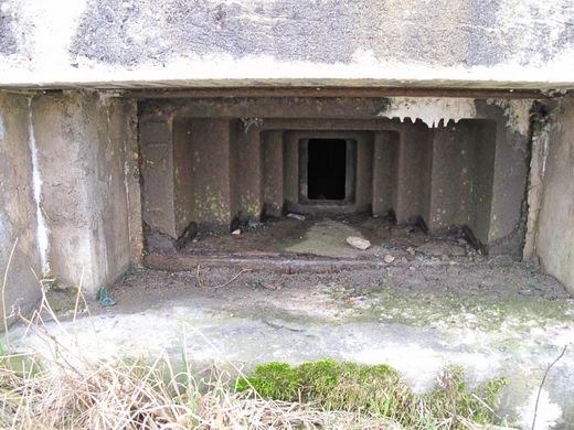 Ligne Maginot - Blockhaus de l'Anserten 1 -  - AALMA - www.lignemaginot.com