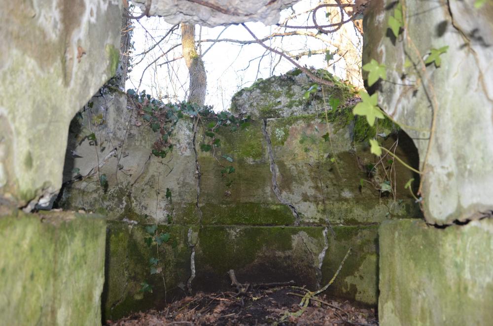 Ligne Maginot - STATION DE BANTZENHEIM 1 - (Cuve pour arme d'infanterie) -  - D. Froehly
