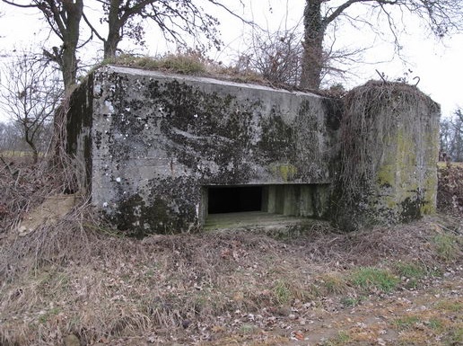 Ligne Maginot - Blockhaus ELLERHANT Nord -  - AALMA - www.lignemaginot.com