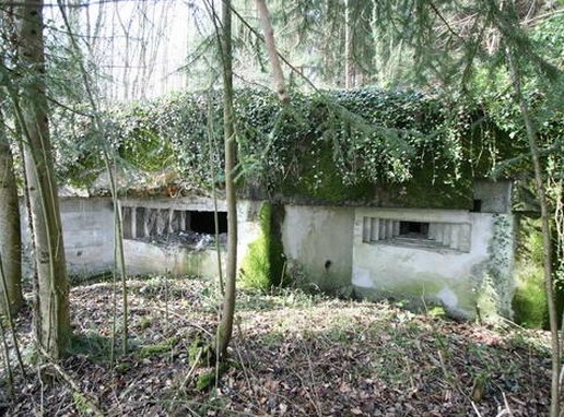 Ligne Maginot - WENTZWILLER 1 - (Blockhaus pour canon) -  - AALMA - www.lignemaginot.com