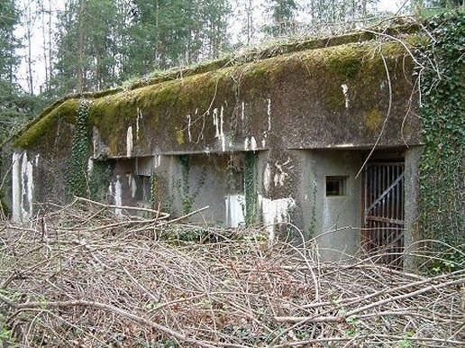 Ligne Maginot - 100 - WILLERBACH (Casemate d'infanterie) -  - AALMA - www.lignemaginot.com