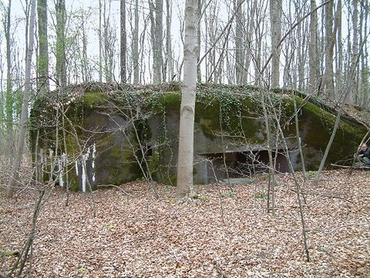 Ligne Maginot - 107 - CESARHOF SUD - (Casemate d'infanterie - Double) -  - AALMA - www.lignemaginot.com
