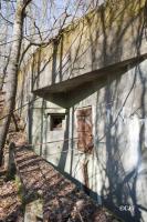 Ligne Maginot - BARRUNGSHOFF - BORNUNGSHOFF - X11 - (Abri) - 