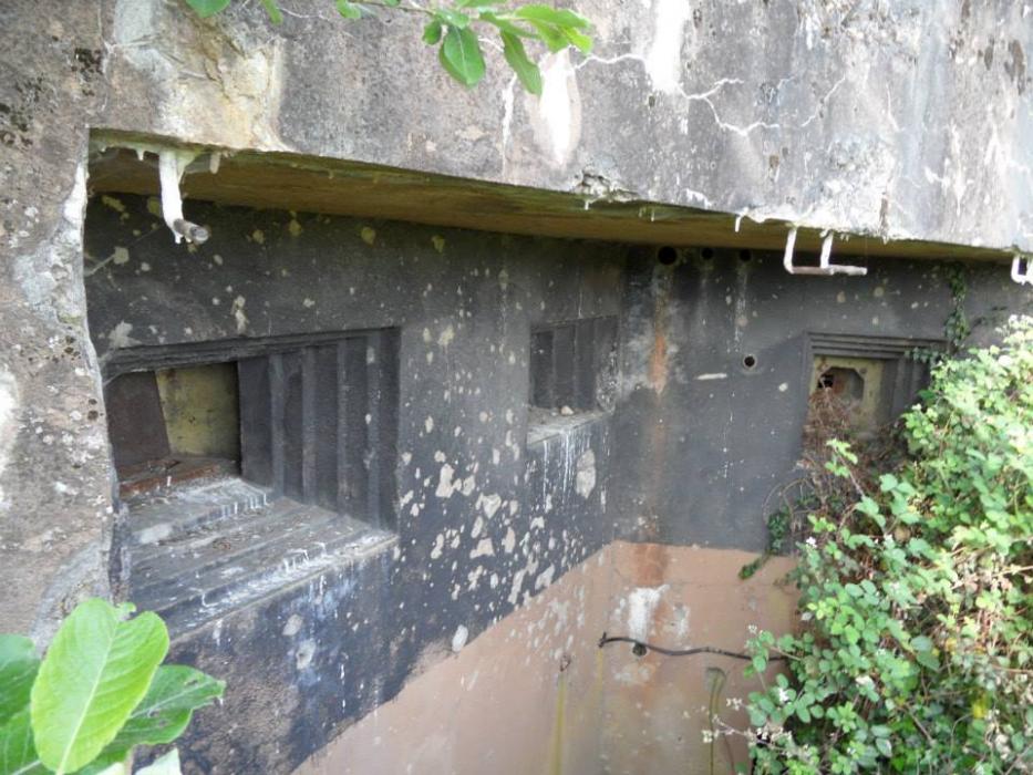 Ligne Maginot - BOIS DE HOFFEN EST - O3 - (Casemate d'infanterie - Simple) - Les créneaux pour jumelage de mitrailleuse ou canon antichar - BOUCHOUCHA Eric