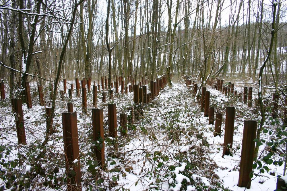 Ligne Maginot - HOCHWALD - (Ouvrage d'artillerie) - Réseau de rails antichar du demi ouvrage Est - GRASSER Michel