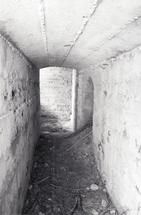 Ligne Maginot - SAINT ROCH (SHR) - (Ouvrage d'artillerie) - La position (allemande ?) sur les dessus de l'ouvrage, flanquant le tunnel du tramway qui reliait Menton à Sospel. - LOVINY Alain