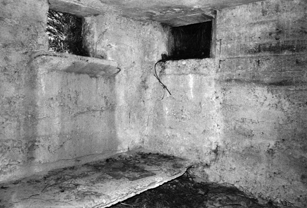 Ligne Maginot - SAINT ROCH (SHR) - (Ouvrage d'artillerie) - La position (allemande ?) sur les dessus de l'ouvrage, flanquant le tunnel du tramway qui reliait Menton à Sospel. - LOVINY Alain
